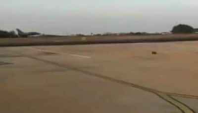 Two Rafale fighter jets from France touch down in India
