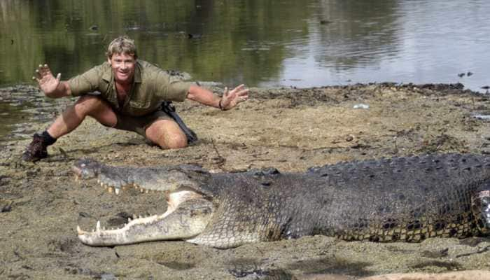 Google Doodle honours &#039;Crocodile Hunter&#039; Steve Irwin on his birth anniversary