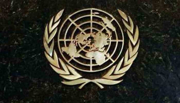 UNSC delays statement on Pulwama attack after China's objection: Sources
