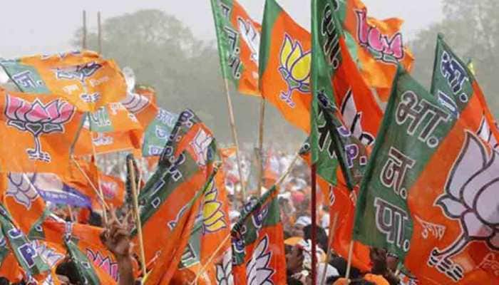 Excess land around disputed site in Ayodhya not part of case: BJP
