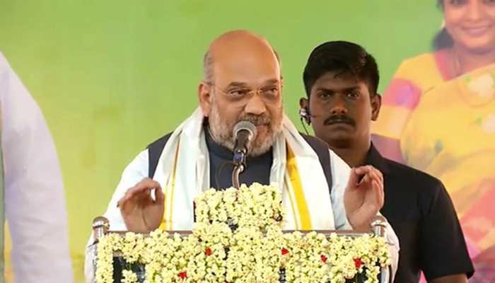 BJP-AIADMK-PMK combine will win 35 out of 39 seats in Tamil Nadu: Amit Shah BJP-AIADMK-PMK combine will win 35 out of 39 seats in Tamil Nadu: Amit Shah
