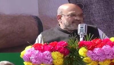 Every illegal immigrant from Kashmir to Kanyakumari will be thrown out: Amit Shah
