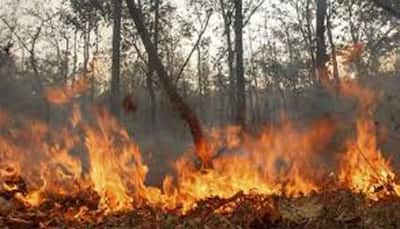 IAF to help Karnataka govt put out fire in Bandipur Tiger Reserve