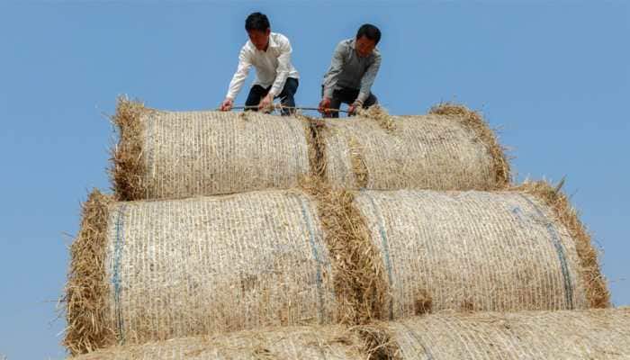 US wins WTO ruling on Chinese grains; decision likely to affect India
