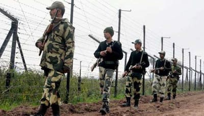 BSF arrests Indian national from near border outpost, seizes cellphone with Pakistani SIM card