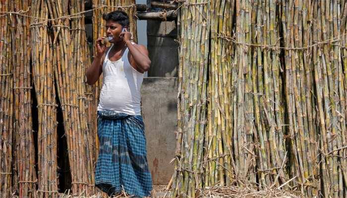 Cabinet approves up to Rs 10,540 cr soft loan to help sugar mills clear cane arrears