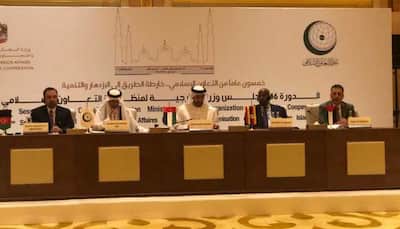 OIC ready to embrace India one day, says UAE Foreign Minister