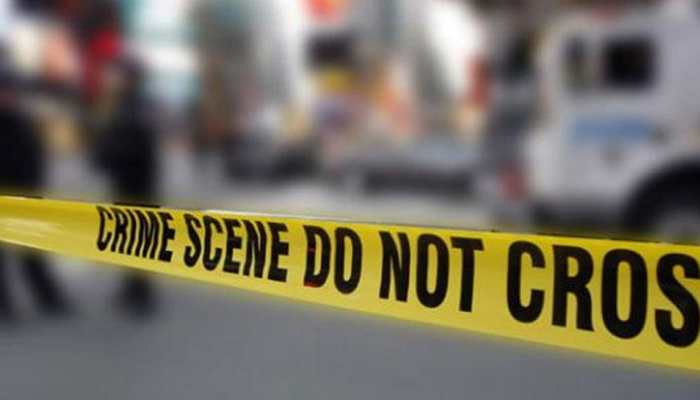 Noida businessman rams BMW car into tree, dies on the spot