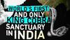 king cobra catcher