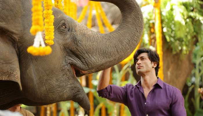 Vidyut Jammwal's 'Junglee' treat for kids
