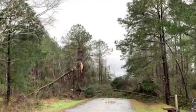 At least 14 dead in Alabama tornado, toll expected to rise