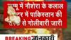 Hizbul-Mujahideen terrorists