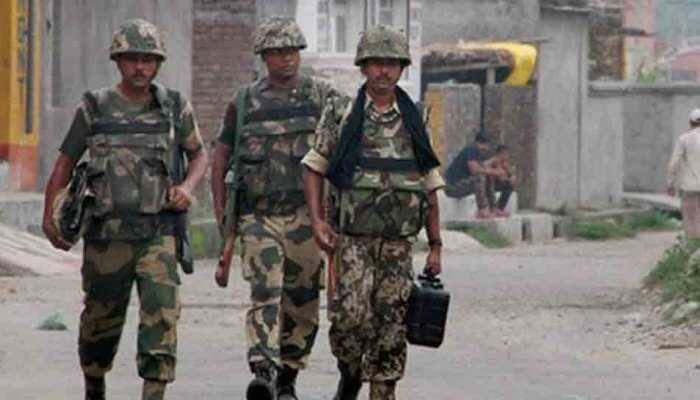BSF apprehends Pakistani intruder at Gujarat's Rann of Kutch border
