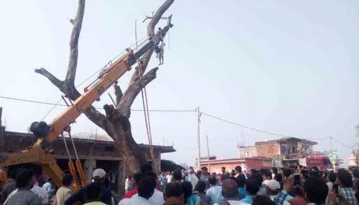 Jharkhand: Man climbs 40-feet high tree to catch parrot, breaks wrist, gets stuck