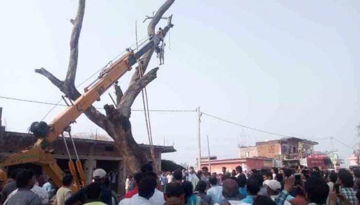 Jharkhand: Man climbs 40-feet high tree to catch parrot, breaks wrist, gets stuck 