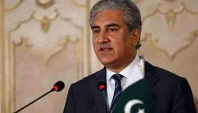 Pakistan FM Mahmood Qureshi maintains that PAF shot down 2 IAF fighter jets