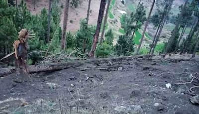 Pakistan okays UN to assess loss of tree in Balakot air strikes but bars meeting with Hafiz Saeed