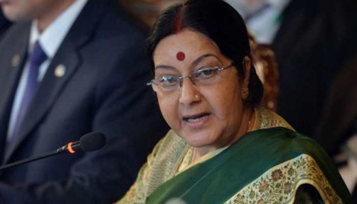 Did IAF go to Pakistan to kill terrorists or collect bodies: Sushma Swaraj&#039;s terse reply to those seeking proofs