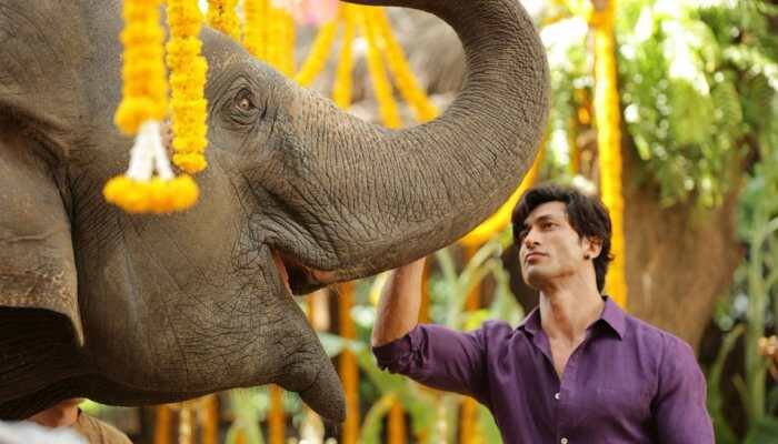 Vidyut Jammwal's 'Junglee' gets a new release date—Check inside