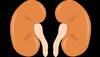 On World Kidney Day, a look at traditional herbs that cure renal ailments