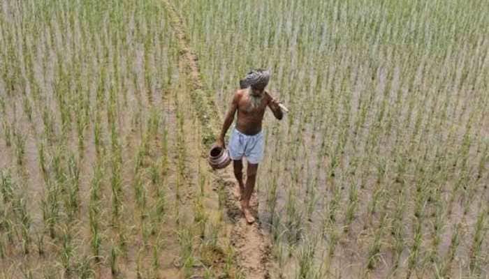 States with highest and lowest production of foodgrains in last 4 years
