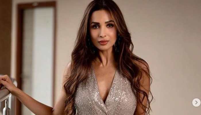 Malaika Arora raises the heat in a multi-coloured bikini- See pic