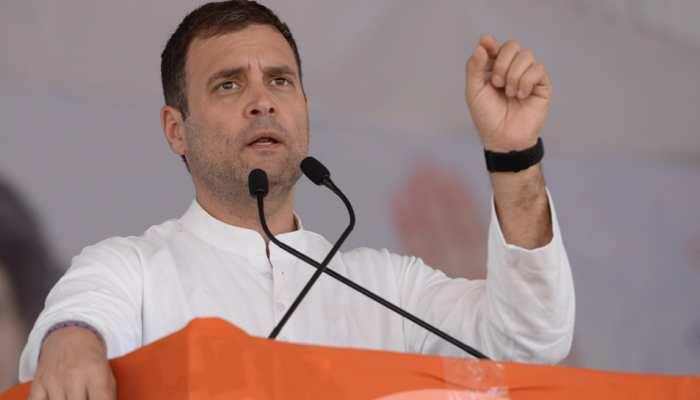 If voted to power, Congress will give special status to Andhra Pradesh: Rahul Gandhi  