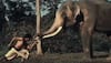 Vidyut Jammwal starrer 'Junglee' Box Office report card