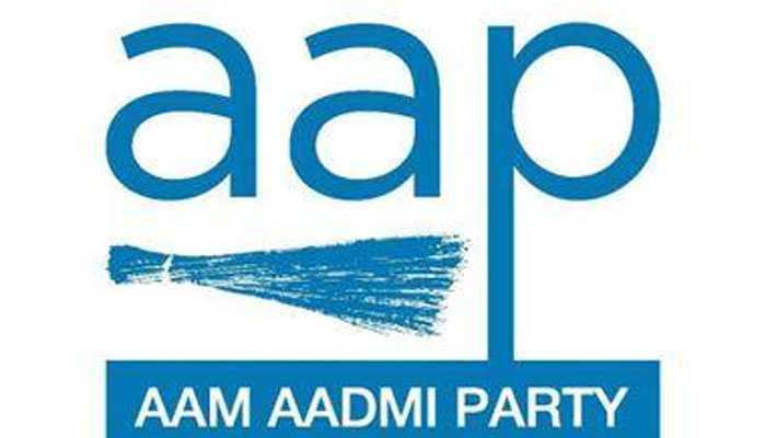 LS polls: AAP confident of improved show in Goa