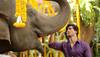 Junglee Box Office collections: Vidyut Jammwal starrer fails to impress