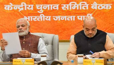 BJP manifesto likely on April 8, focus on 'development, nationalism, Hindutva'