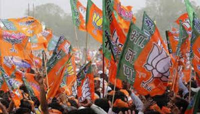 UP BJP leader terms Lord Ram, Hanuman 'chowkidars'; video goes viral