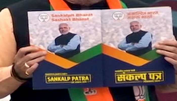 BJP goofs on women's safety in manifesto