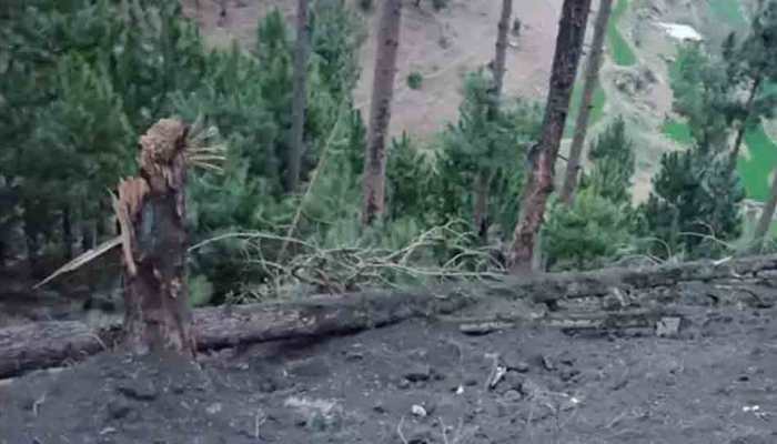No Pakistani soldier or citizen died in Balakot air strike: Sushma Swaraj