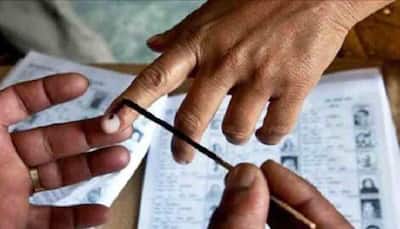65 per cent turnout in Karnataka's 14 Lok Sabha seats