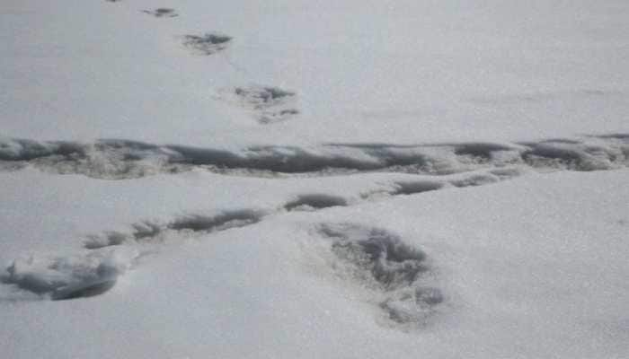 Indian Army claims to have sighted  footprints of mythical beast &#039;Yeti&#039;