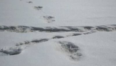 Nepal Army, wildlife officer dismiss Indian Army's Yeti claim