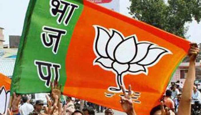 BJP slams Rahul, Priyanka Gandhi over remarks against PM Narendra Modi