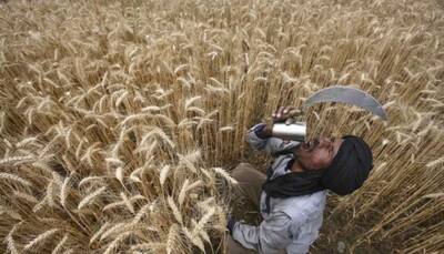 FCI to sell 10 million tonne of wheat to bulk consumers this fiscal