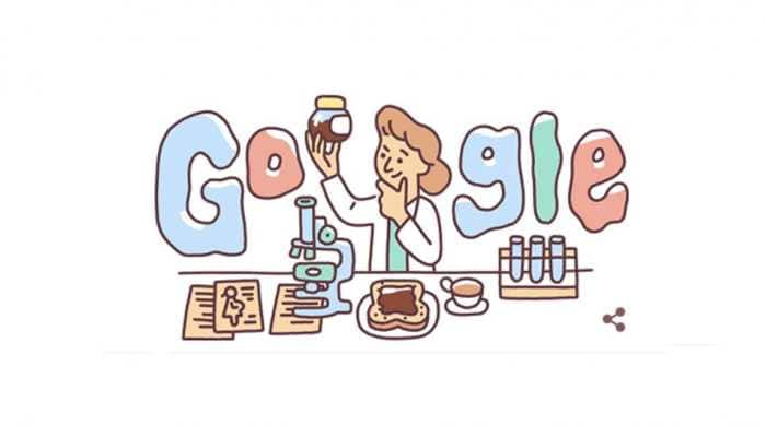 Google celebrates haematologist Lucy Wills’ 131st birthday with a doodle