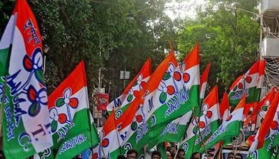 West Bengal: TMC worker alleges brutal assault by BJP supporters for voting against party