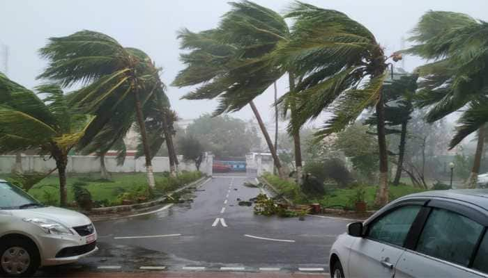 Odisha&#039;s five-year plantation drive plan for green cover loss in Cyclone Fani