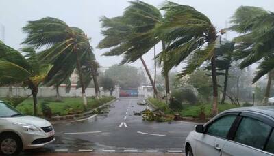 Odisha's five-year plantation drive plan for green cover loss in Cyclone Fani