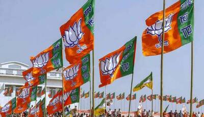  BJP retains Mapusa Assembly by-poll in Goa