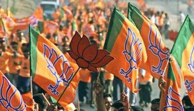 BJP avenges Assembly election defeat, steamrolls Congress in Chhattisgarh