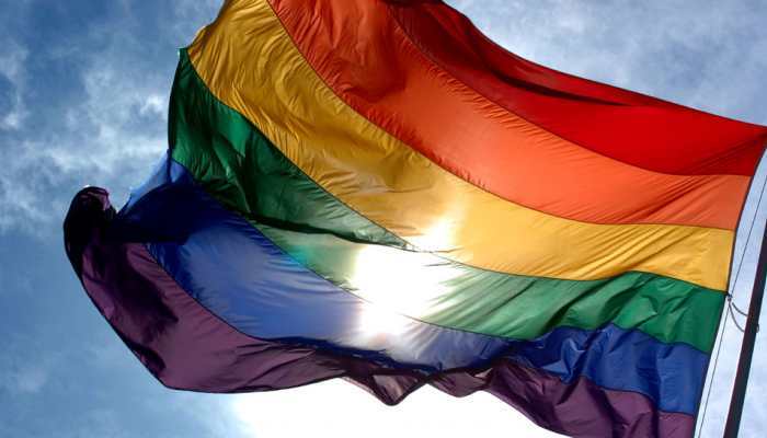 Taiwan celebrates Asia's first same-sex marriages as couples tie knot