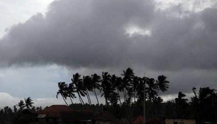 India likely to get average monsoon rainfall in 2019, says IMD