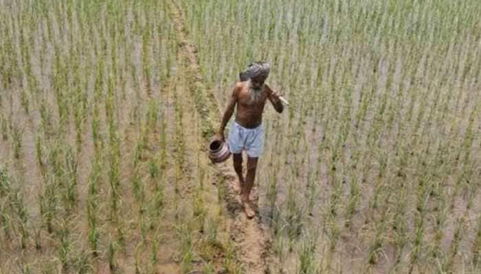 Farmer relief: Govt extends PM-KISAN in 1st cabinet meet, announces new farm pension scheme