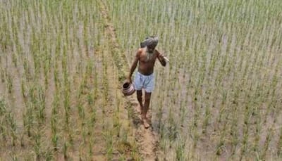 Farmer relief: Govt extends PM-KISAN in 1st cabinet meet, announces new farm pension scheme