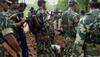  Maoist hideout busted in Maharashtra's Gondia